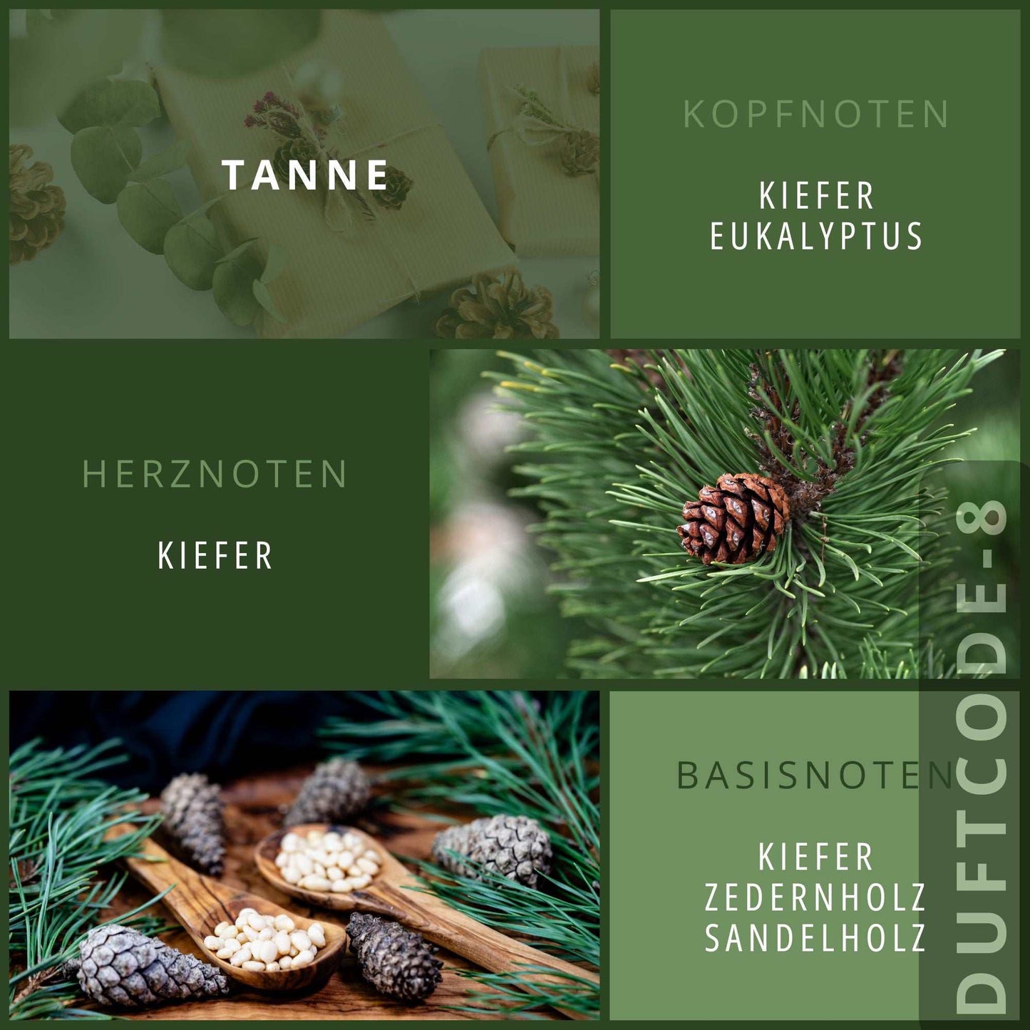 Sojawachskerze in Olivenholzschale "Tapa" 12-13 cm Weihnachtsbaum DUFTCODE-8