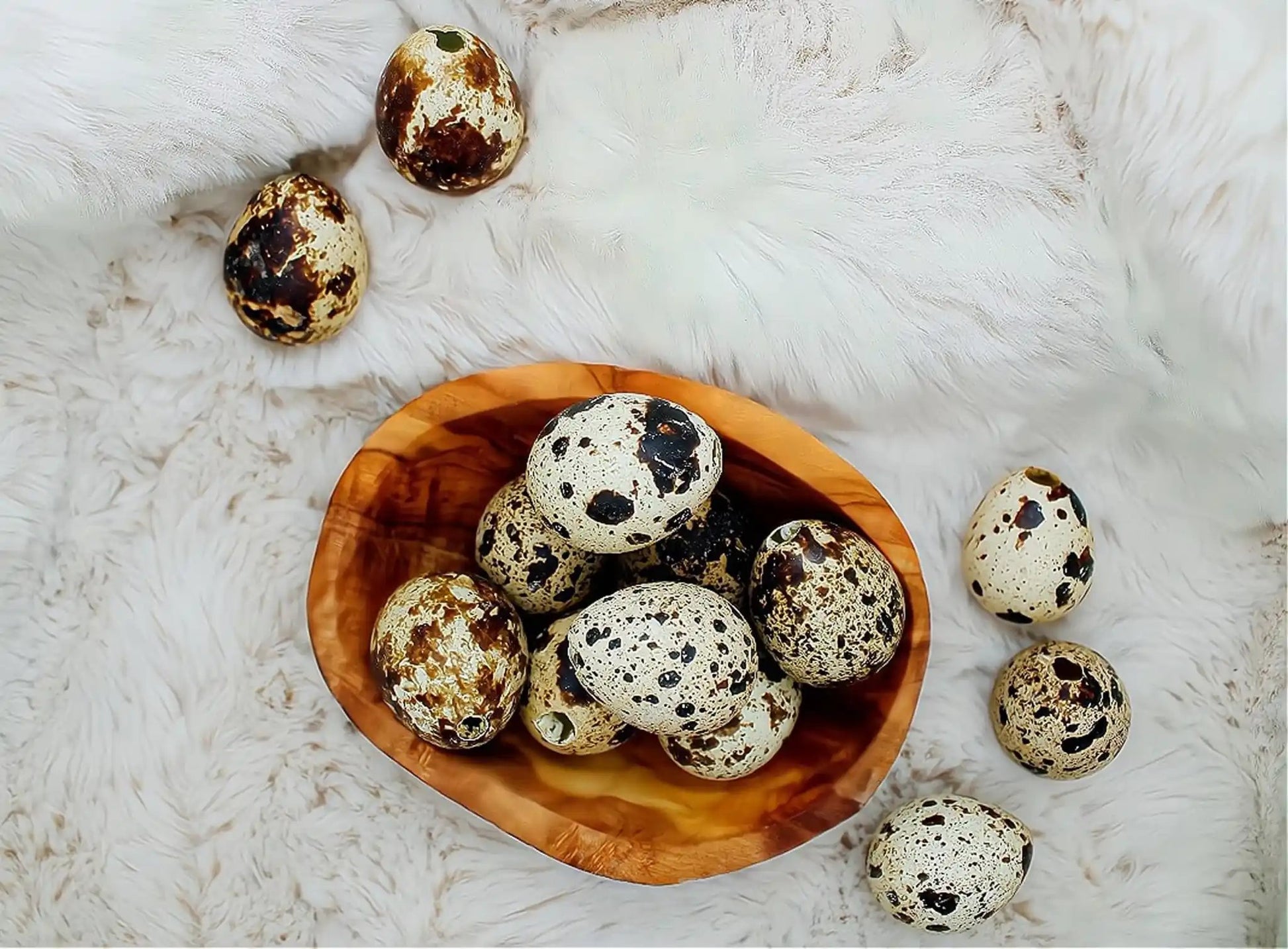 Osterdeko Holz - natürliche Olivenholzschale mit Eiern mit echten Wachteleiern oder Dekoeiern